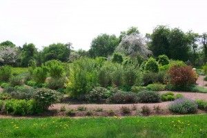 Das lebendige Labyrinth in Klostergarten