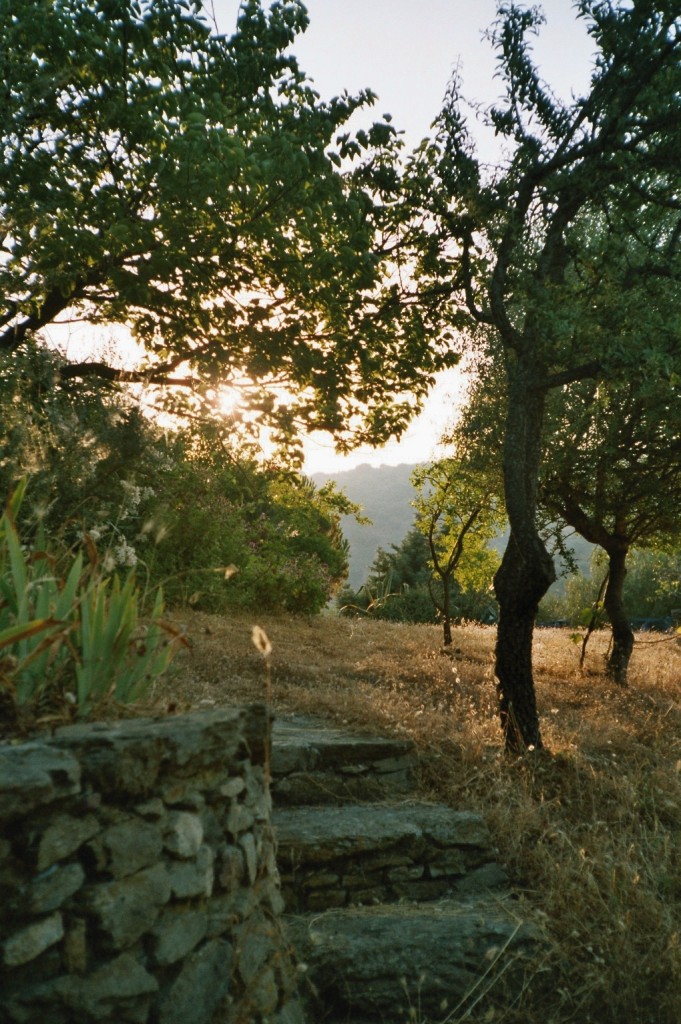 Stille am Abend (Sardinien)